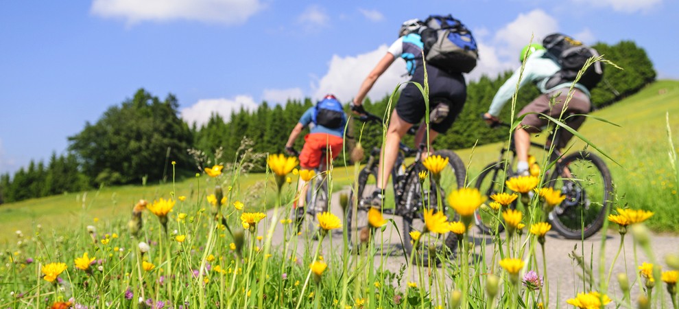 Fahrradfahrer am Nagoldtalradweg