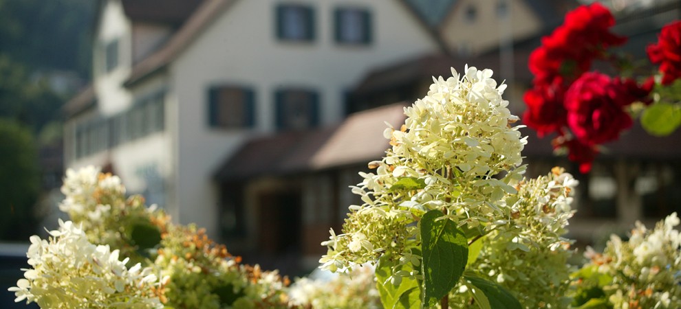 Gasthof-Hotel Krone Wildberg - Aussenaufnahme